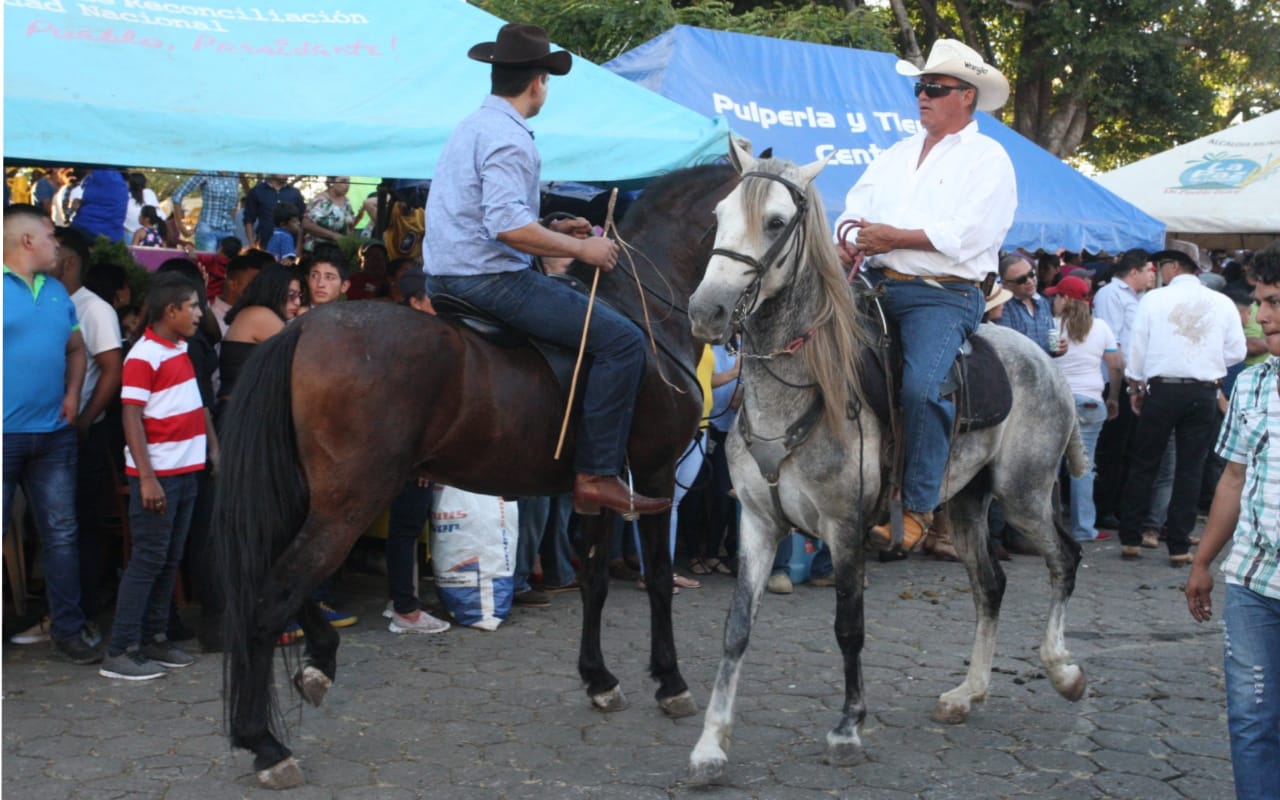 HIPICA1